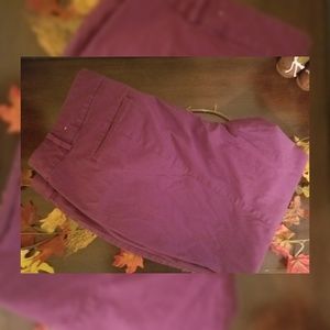Ann Taylor Purple  Curvy Cropped Pants